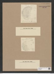 Coscinodiscus sp. (de-Toni-Nr.: Genus 202) Zeichnungen Sammlung Grunow Nr. 8945 (NHMW-BOT-W0378630)